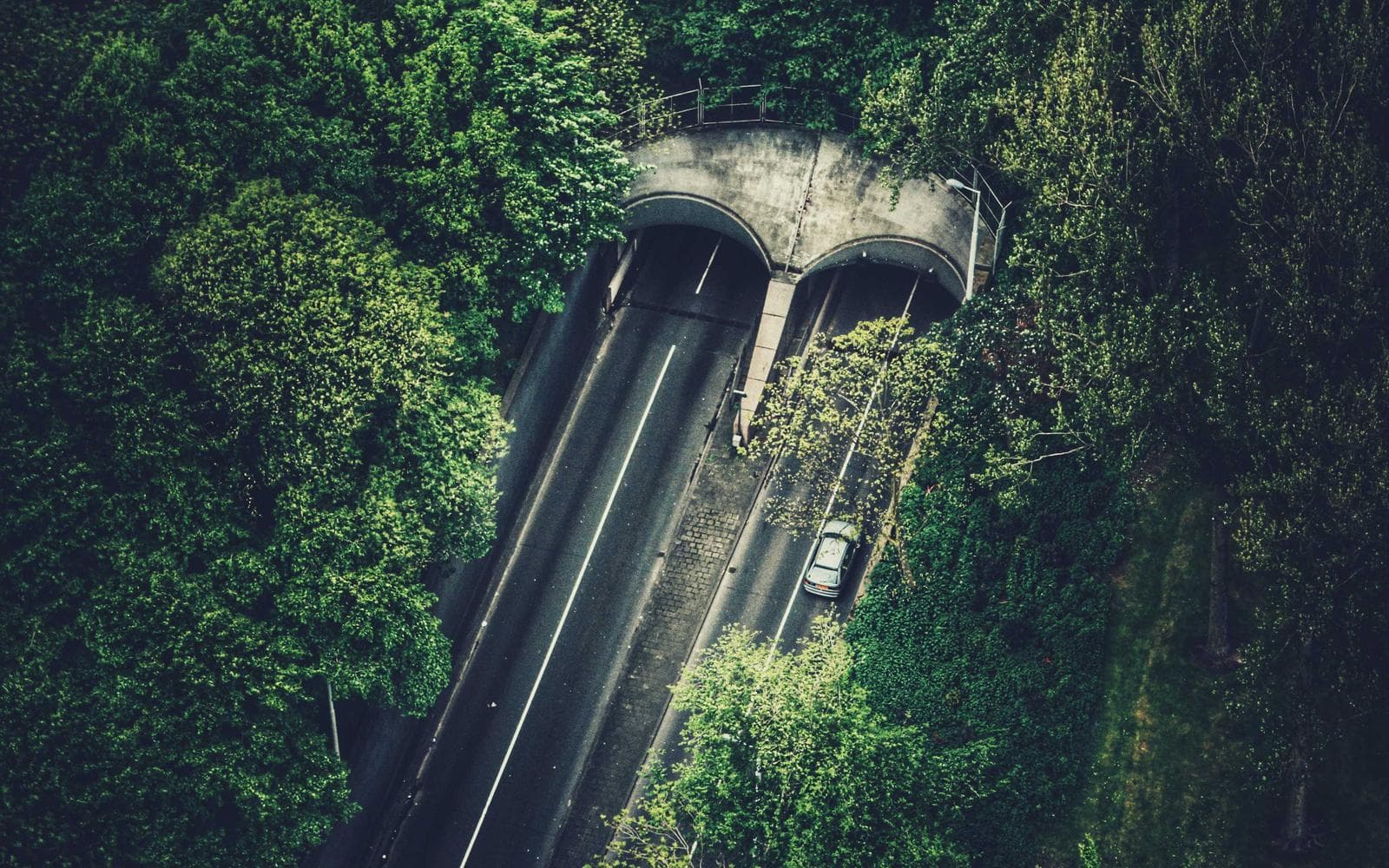 Aerial view of a road entering twin forest tunnels