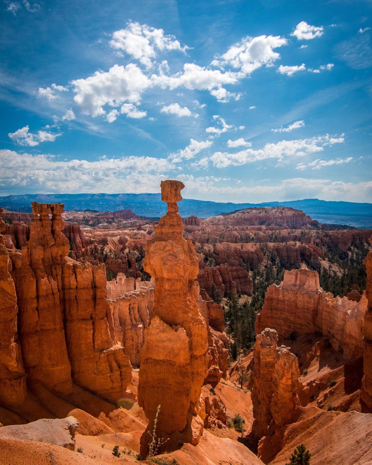 Sandstone hoodoos under a summer sky