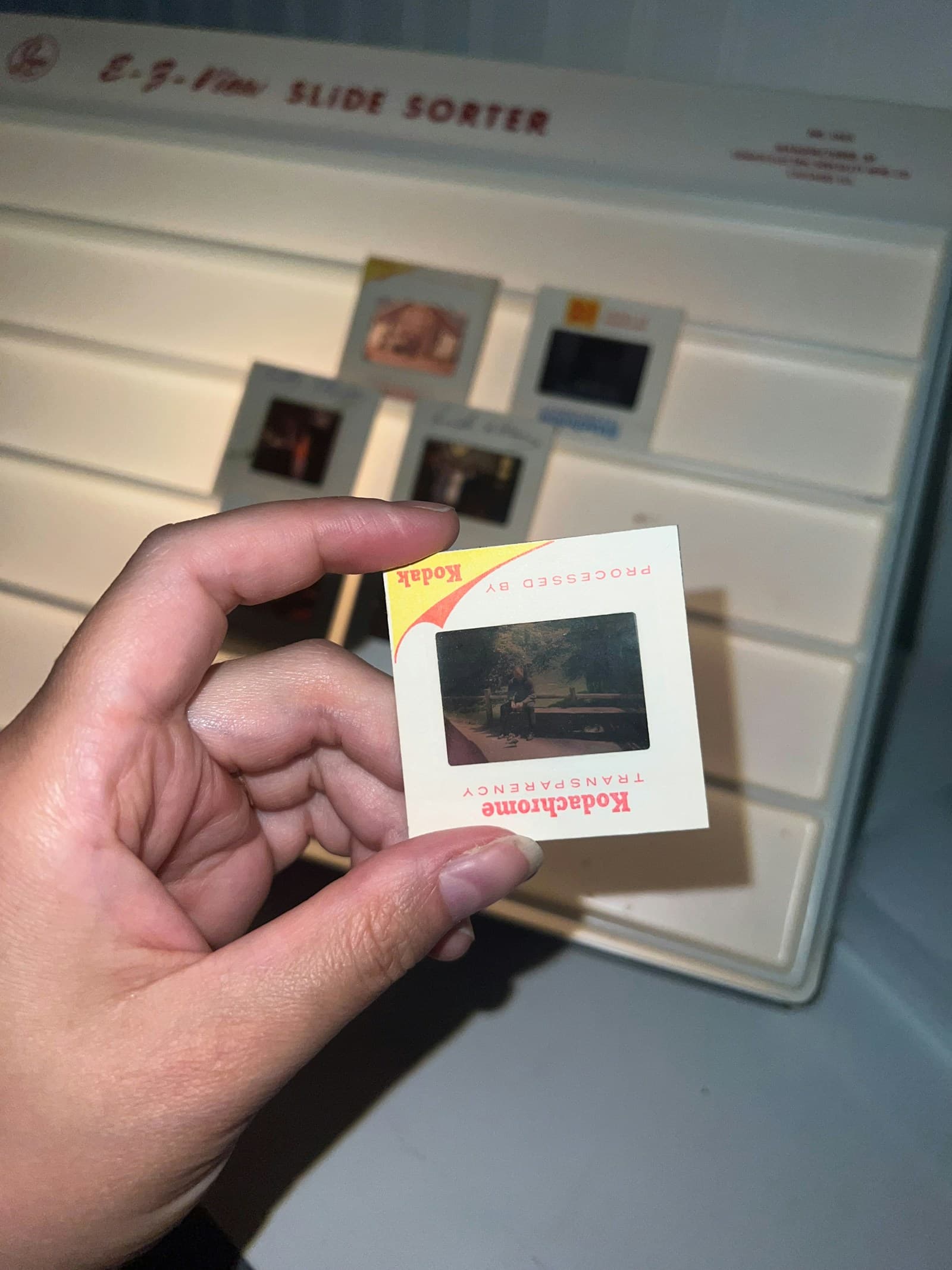 A hand holding a Kodachrome slide in front of a backlit E-Z-View slide sorter in a dark room